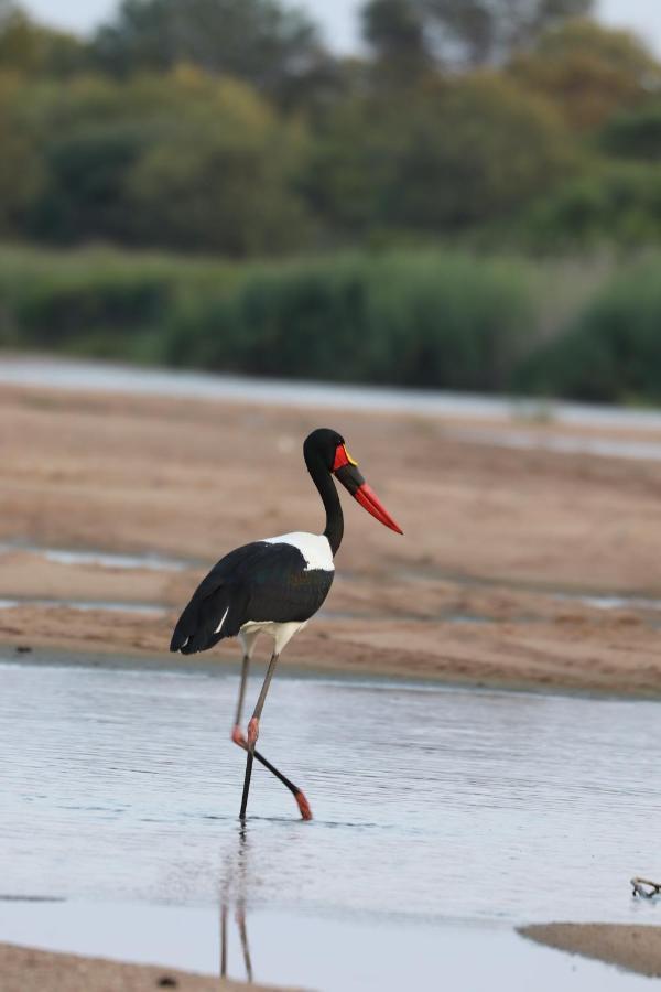Ngangane Lodge&Reserve Francistown Eksteriør bilde